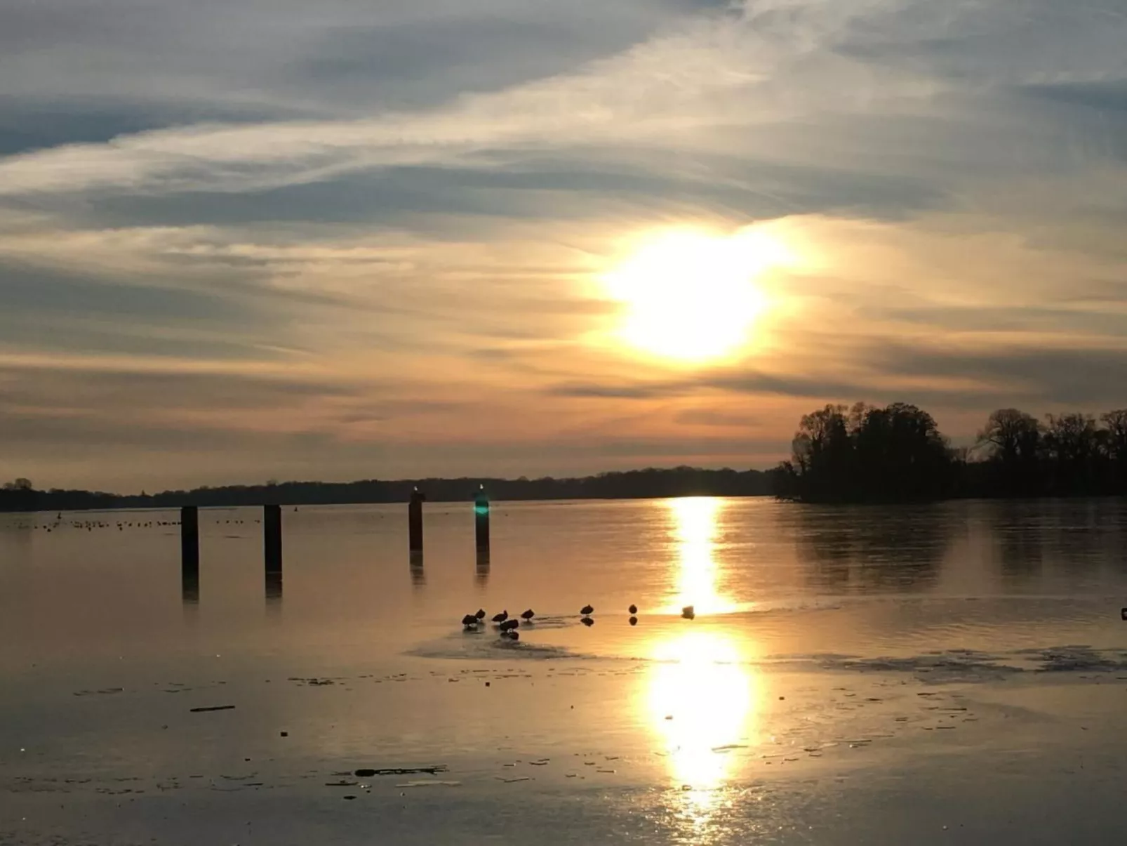 Modernes helles Zimmer im Loft am See - Buiten