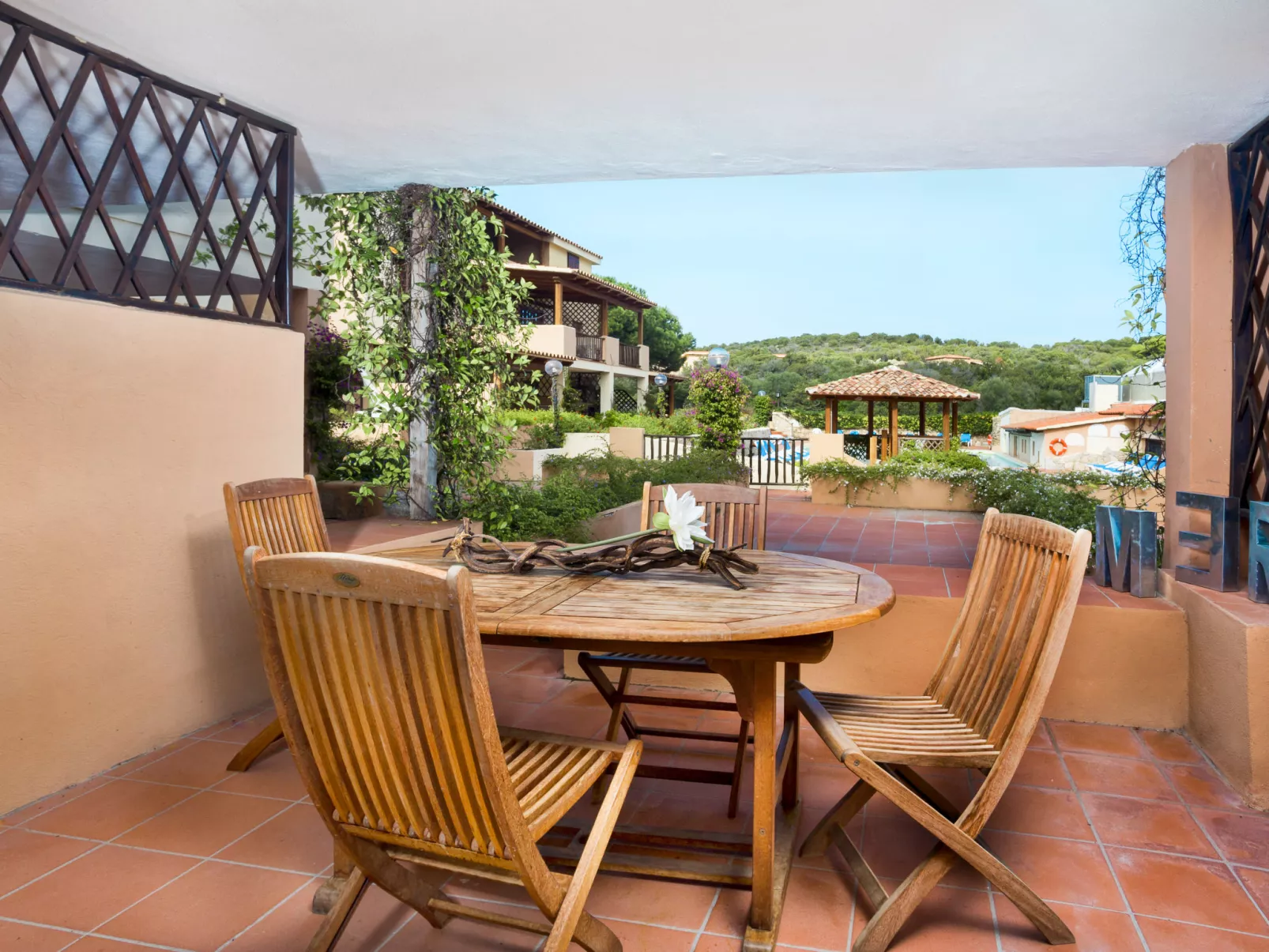 Bougainvillae Bilo - Buiten