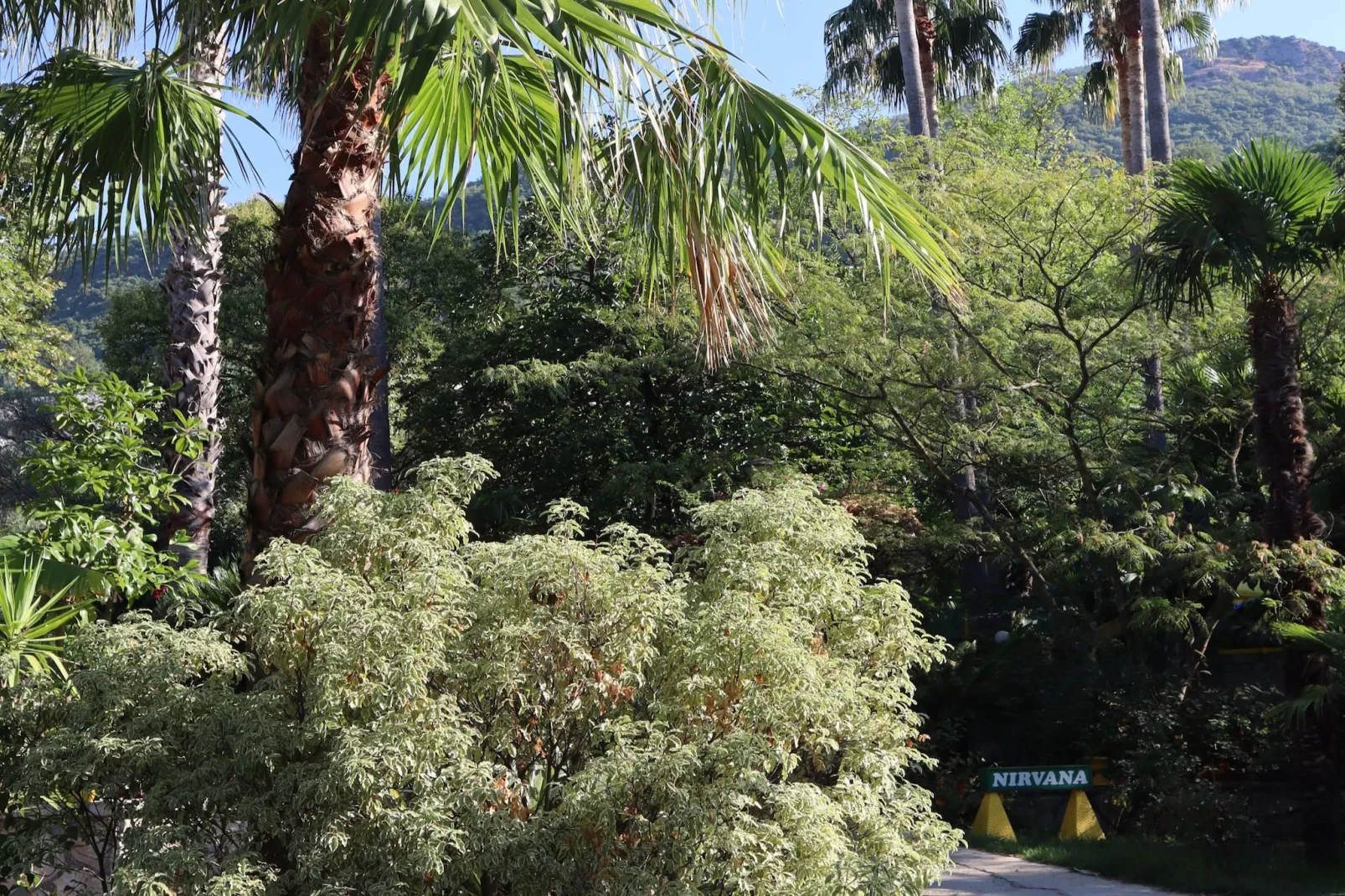 Silver Gate Rooms-Diocletian's Palace - Twin Room - Buitenlucht