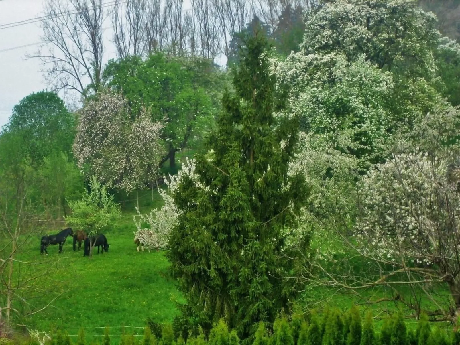 Villa Romantica - Buiten