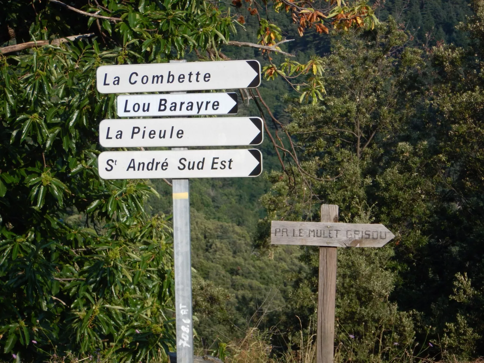 Wohnung "Saint Andre de Lancize" mit Terrasse - Image-tags.info