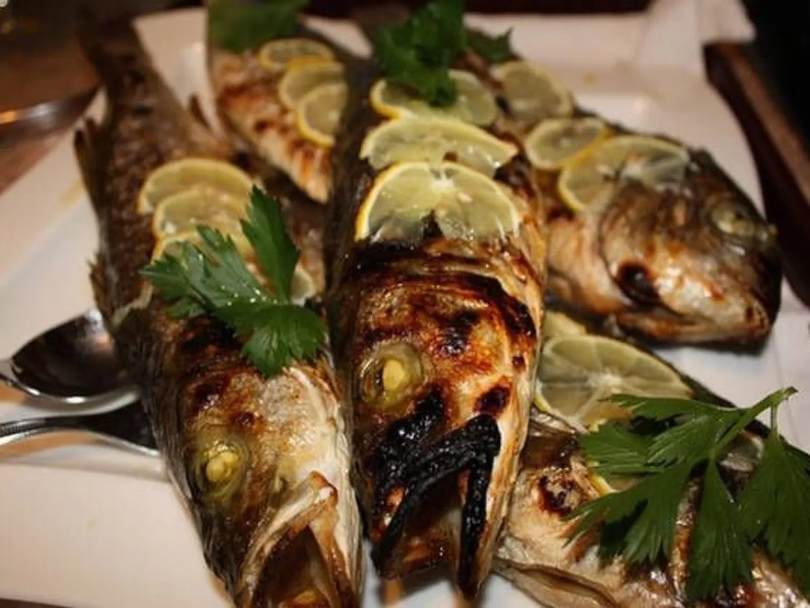 Erdgeschoss Doppelbettzimmer 25m² mit geräumiger Terrasse und Meerblick Villa M - Binnen