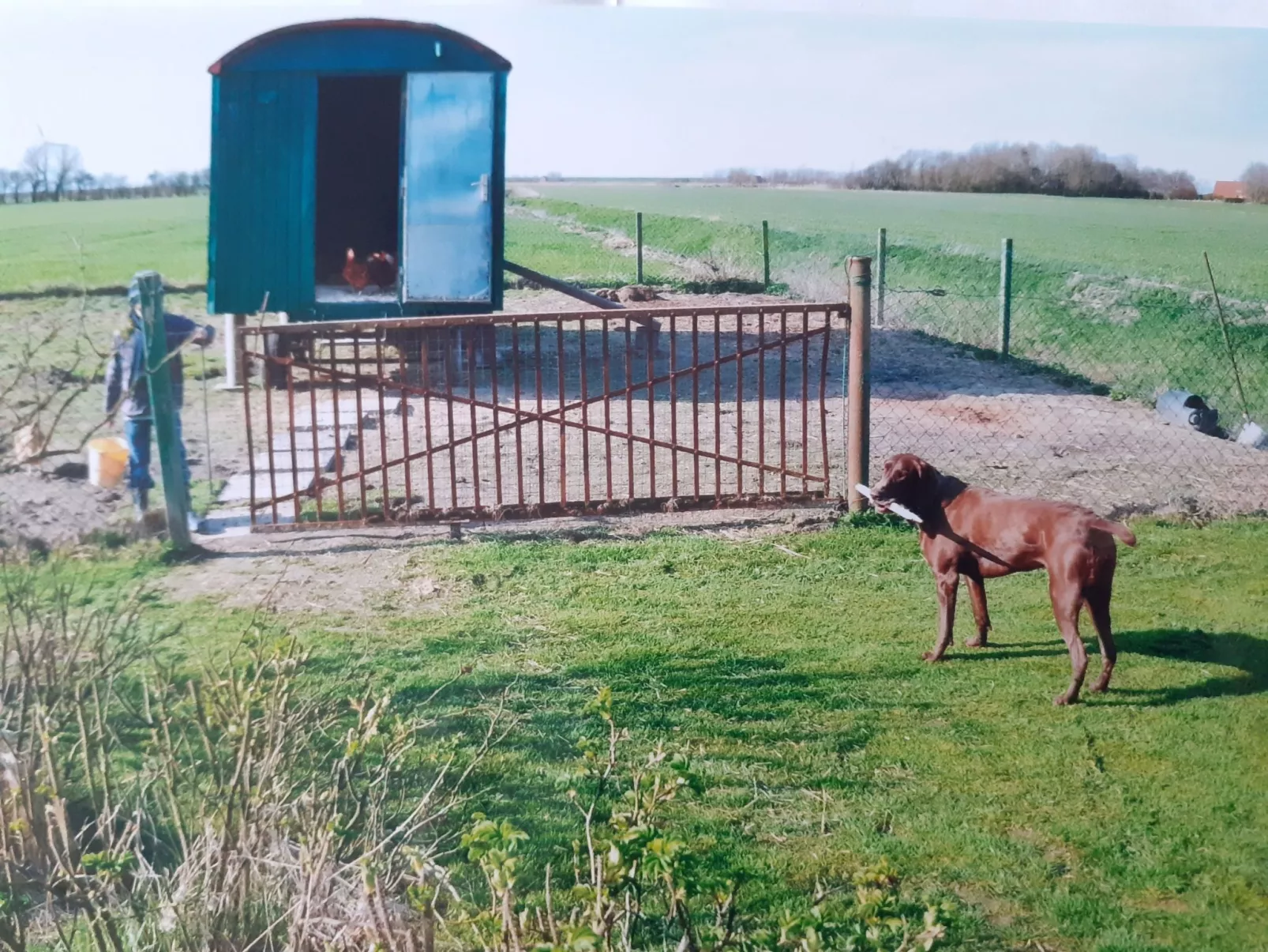 Gästezimmer mit Terrasse - Binnen