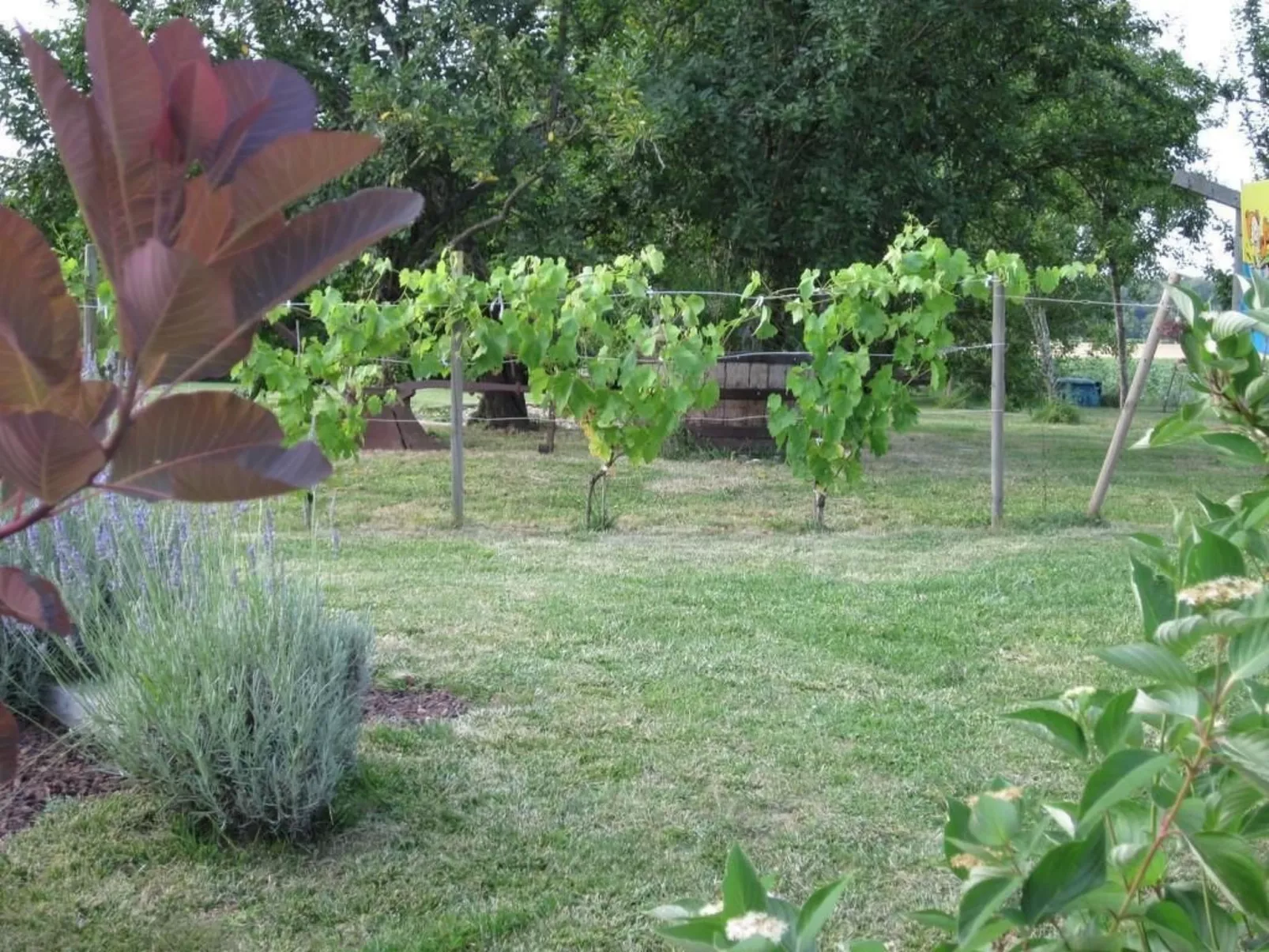 Haus "l'Ecurie" mit Terrasse und Garten - Image-tags.info