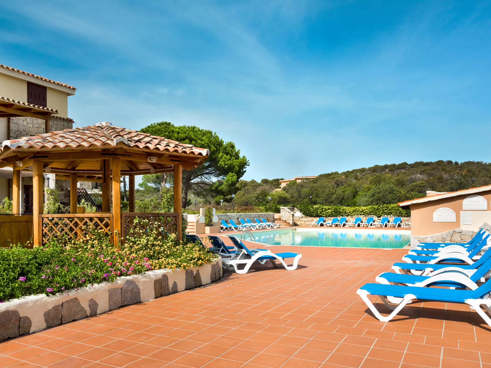 Bougainvillae Bilo - Buiten