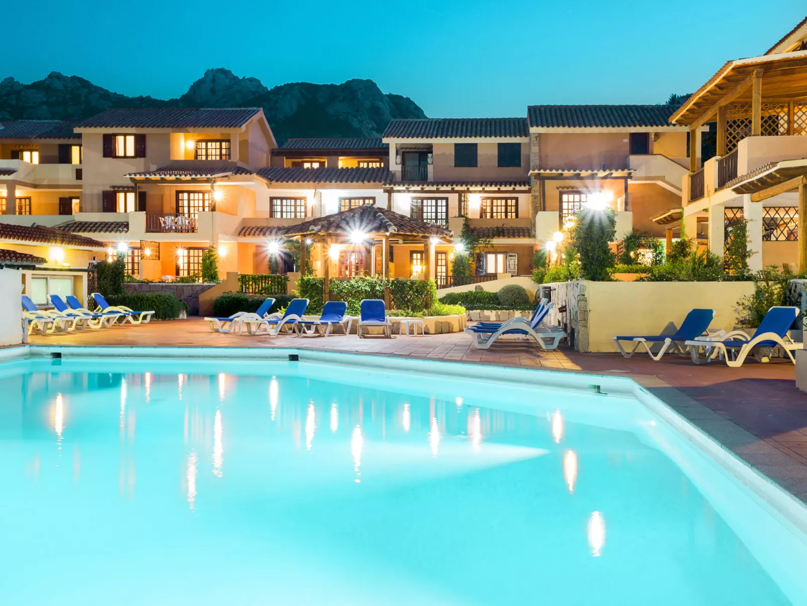 Bougainvillae Trilo - Buiten