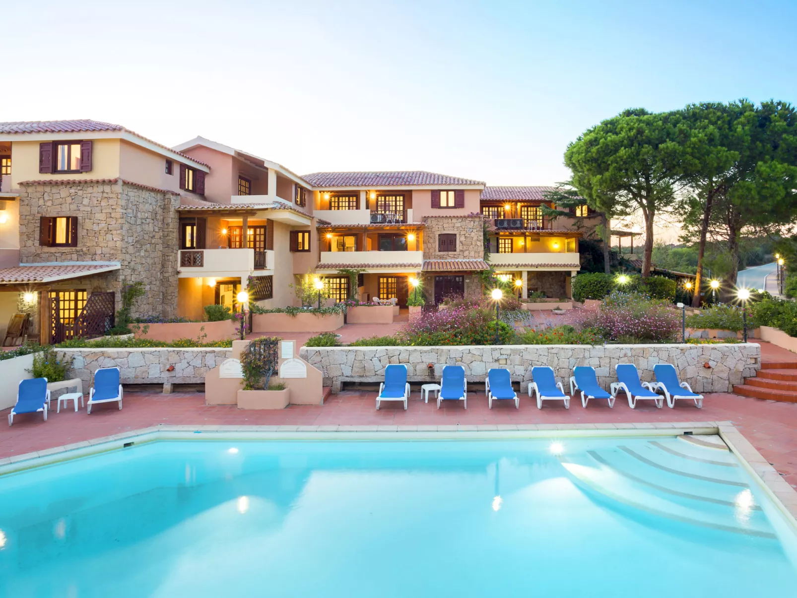 Bougainvillae Trilo Plus - Buiten