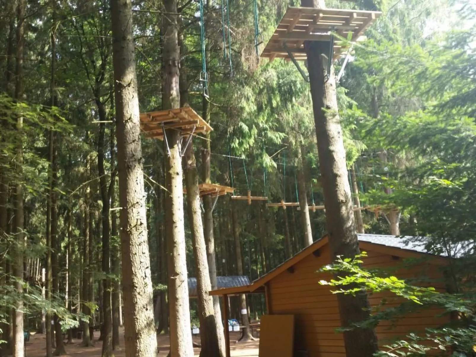 Wohnung in Börgerwald mit Sauna - Buiten