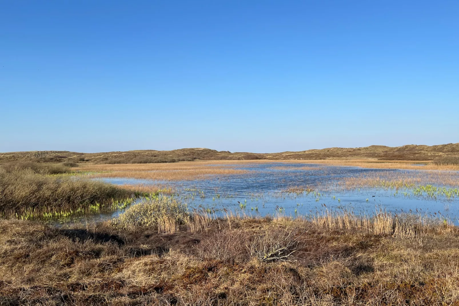 Duinland 248 (copy) - Gebieden zomer 5km