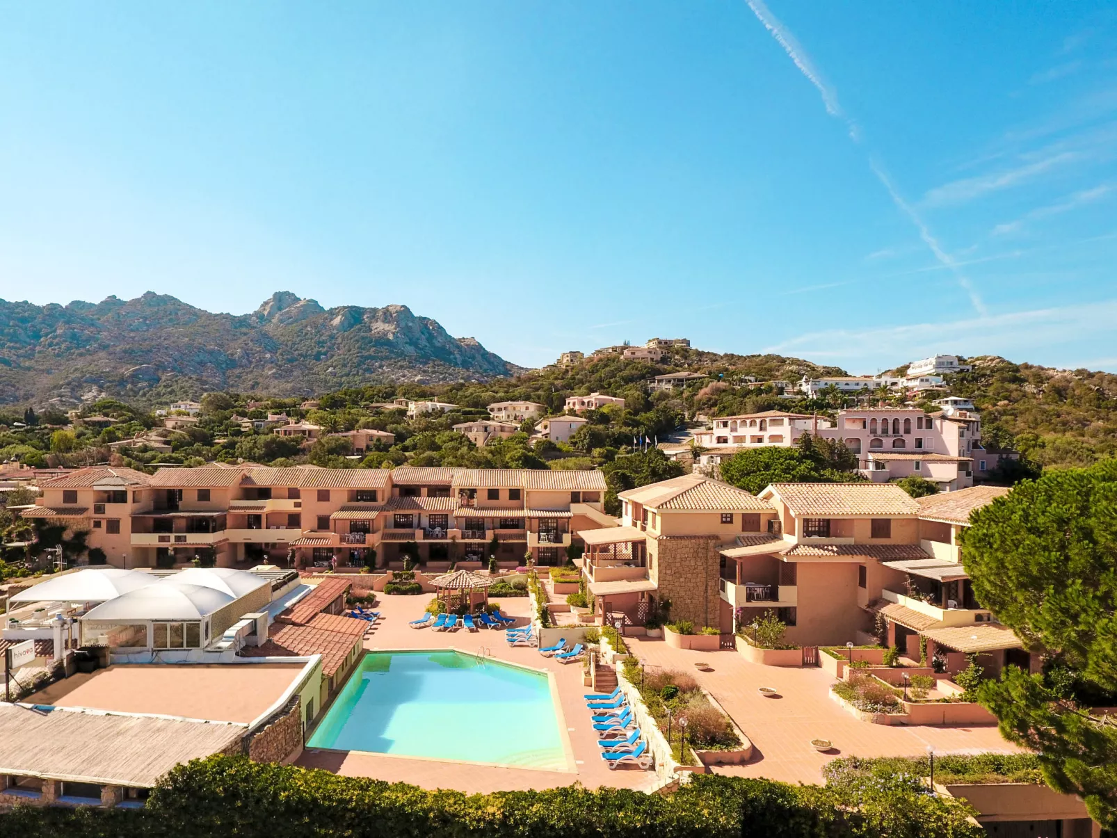 Bougainvillae Trilo Plus - Buiten