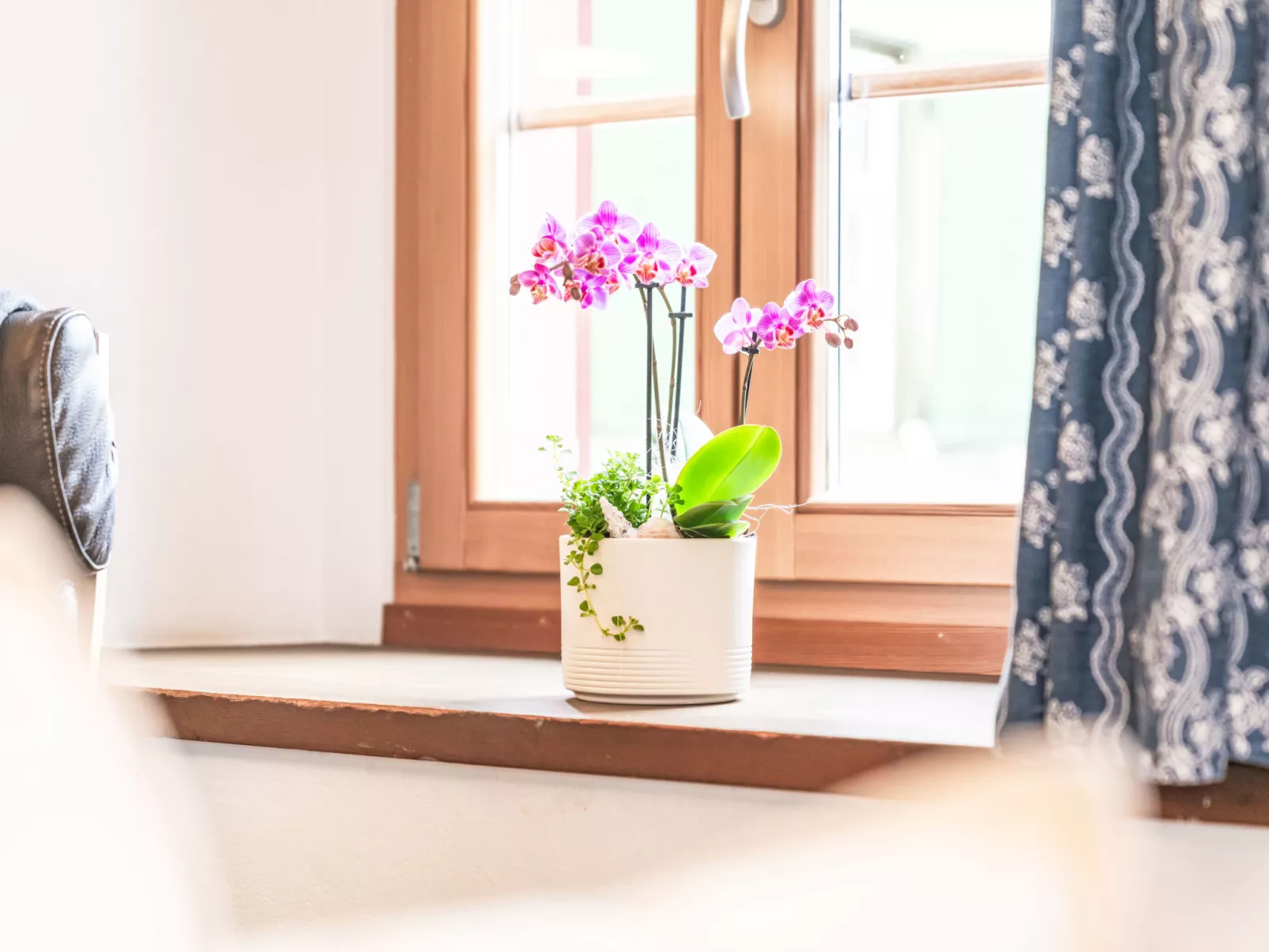 Morteratsch - Binnen