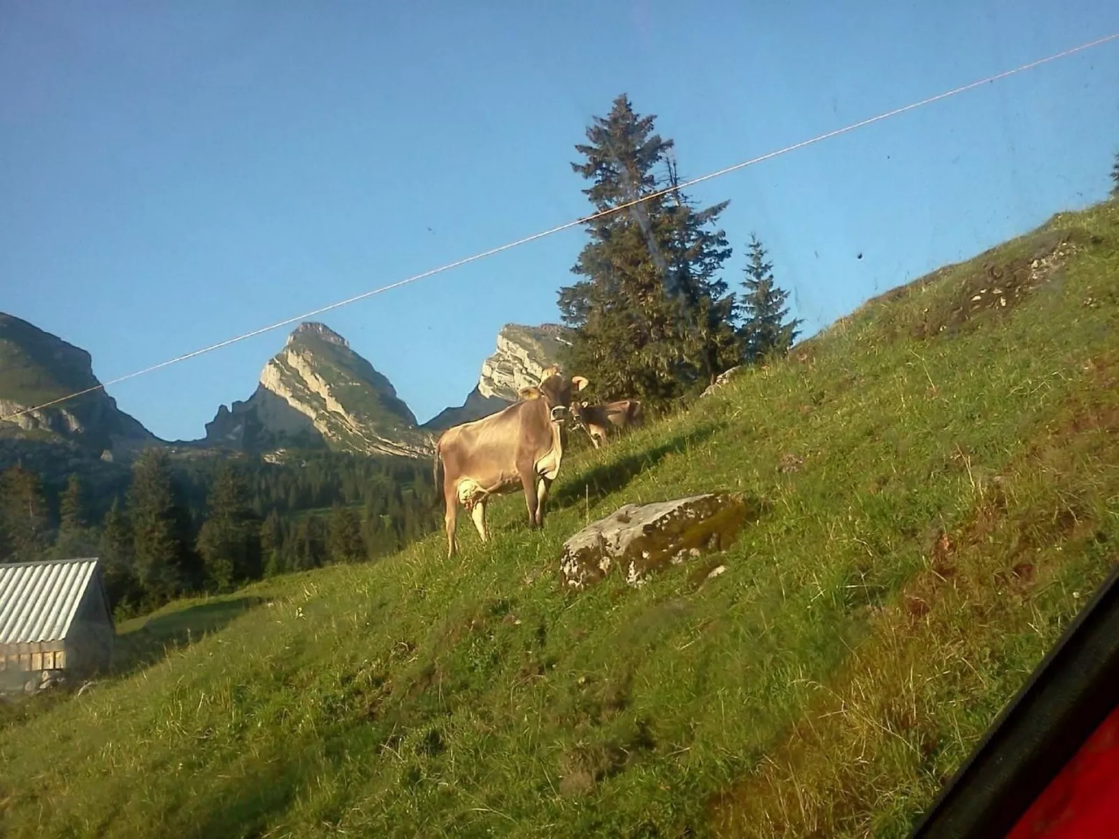 Hof Unterstein - Buiten