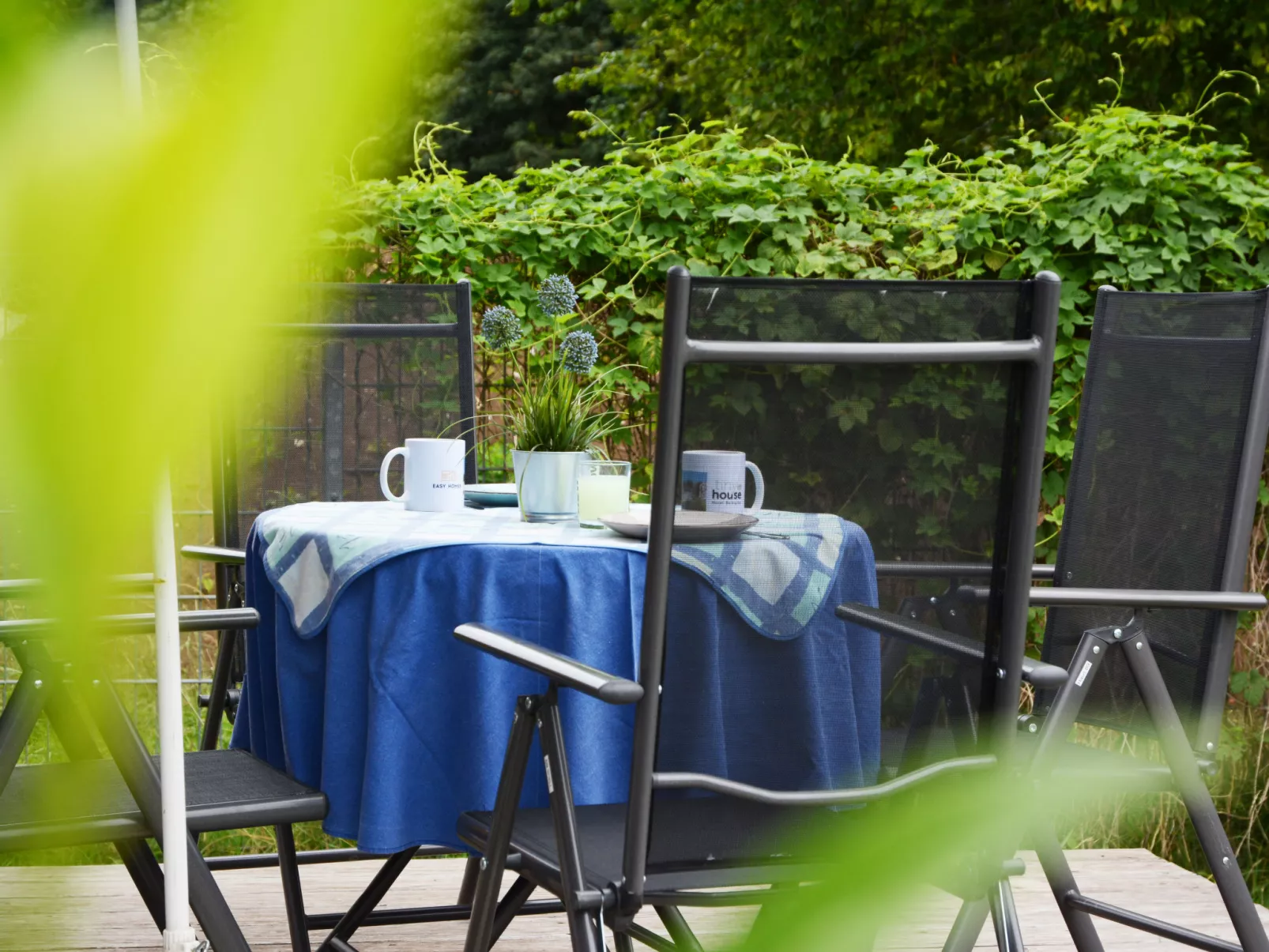 Tiny Haus Carpe Diem - Buiten