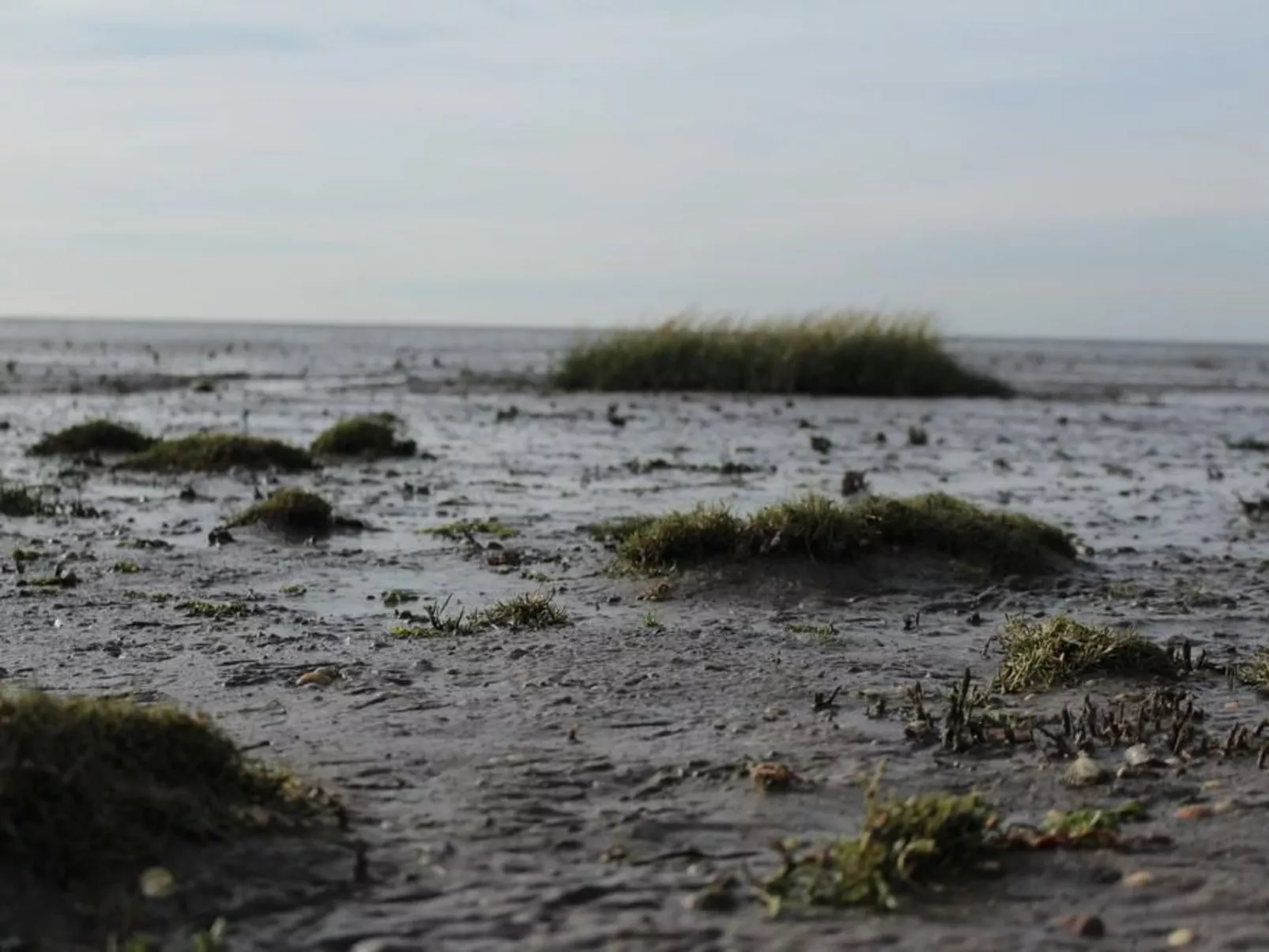 Moin Greetsiel in Greetsiel - Buiten