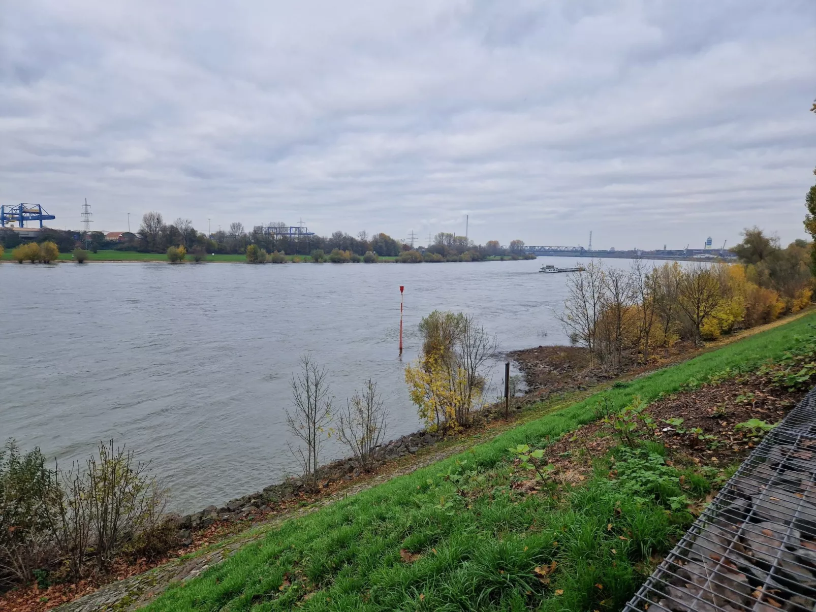 Fewo am Rhein - Buiten
