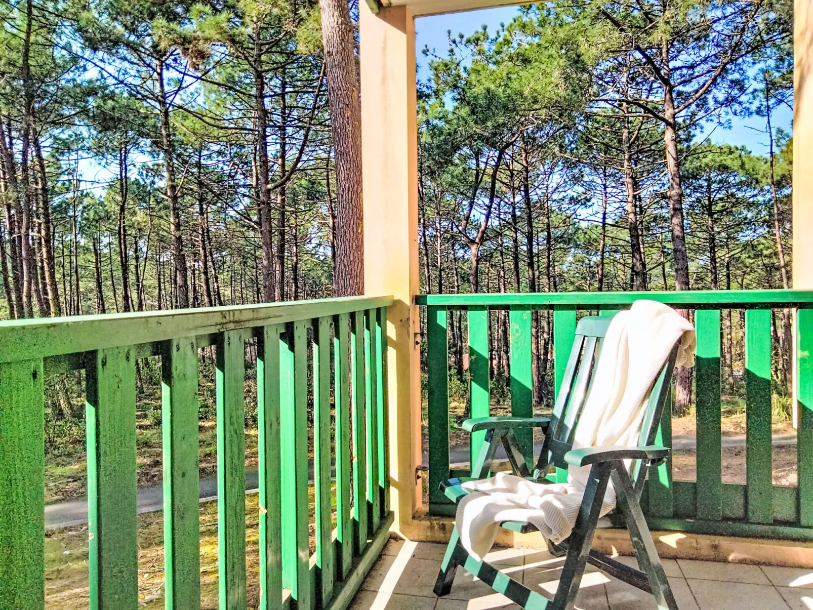 Les Grands Pins - Buiten