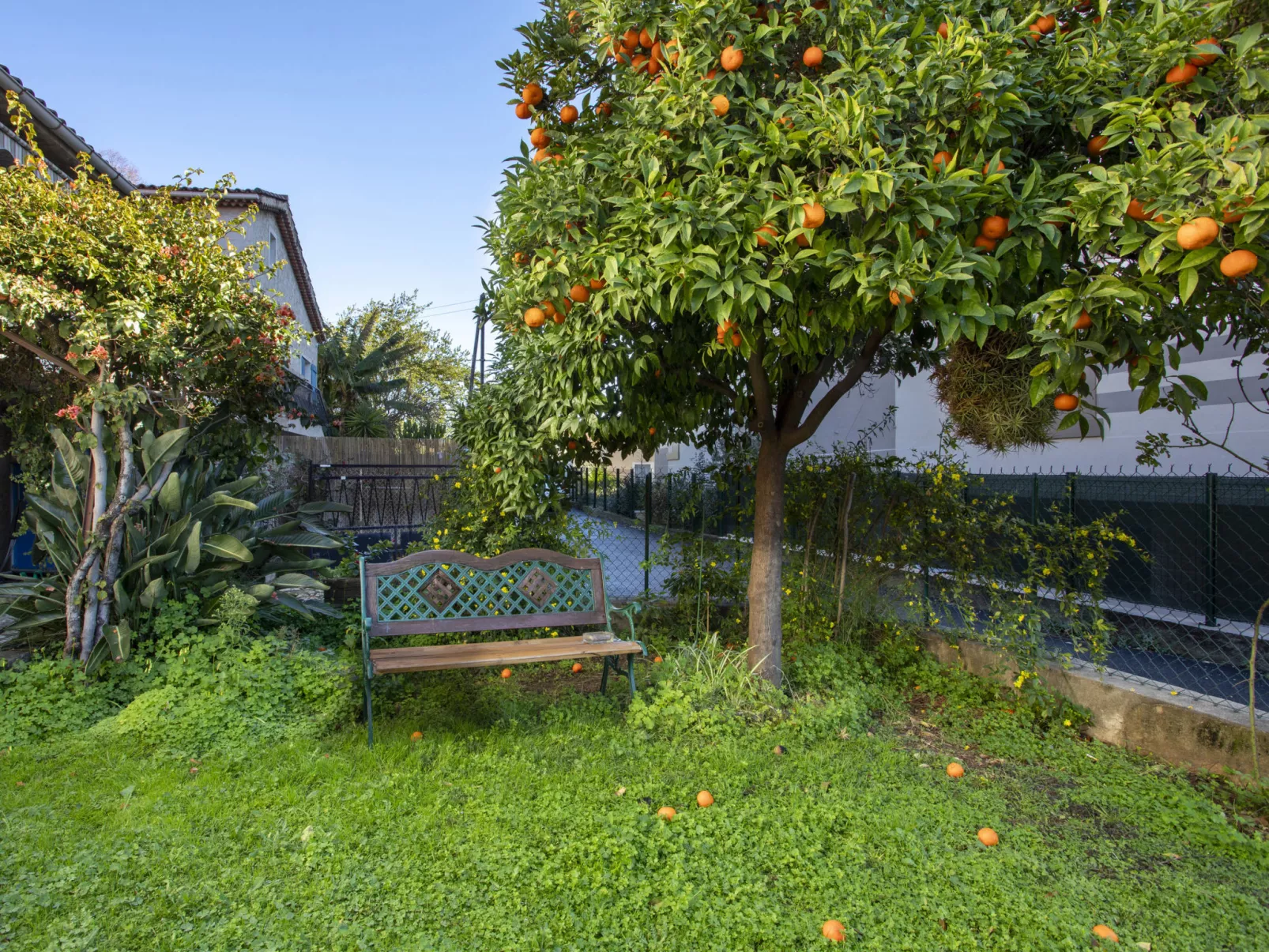 Maison Valensole - Buiten