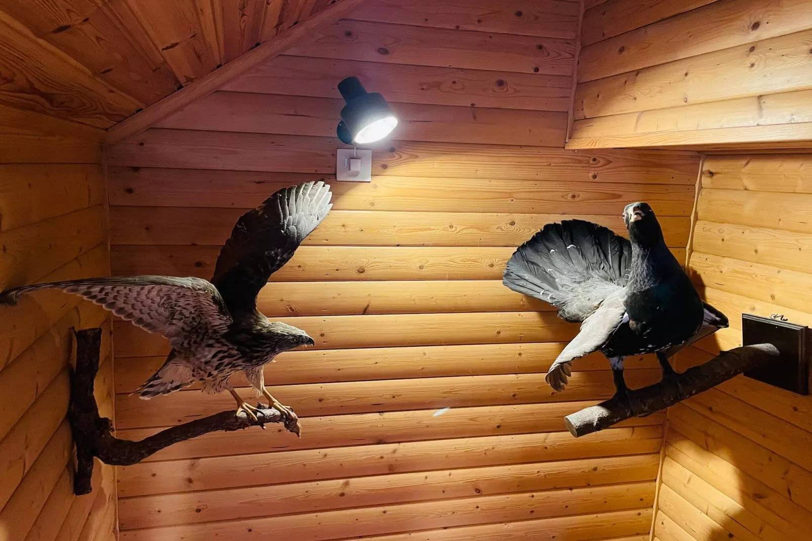 7 Personen vakantie huis in LEKERYD - Binnen