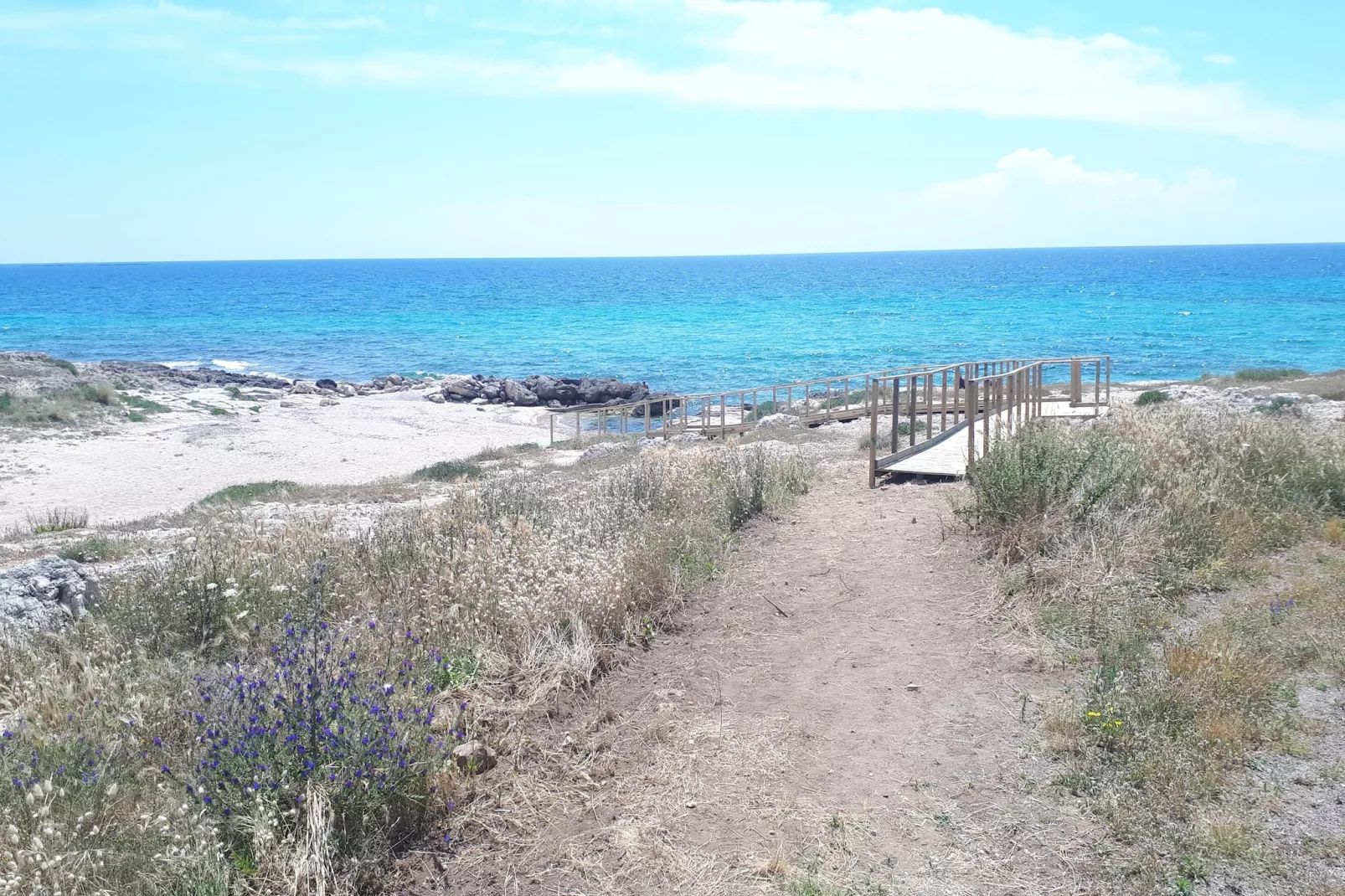 TS Trilo Rialzato - Gebieden zomer 1km