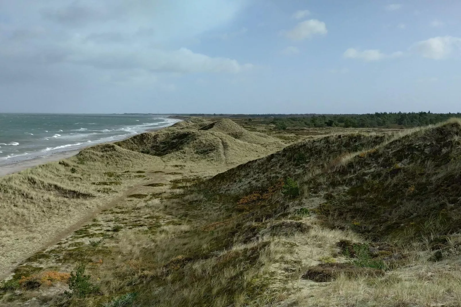 4 persoons vakantie huis in Læsø - Waterzicht