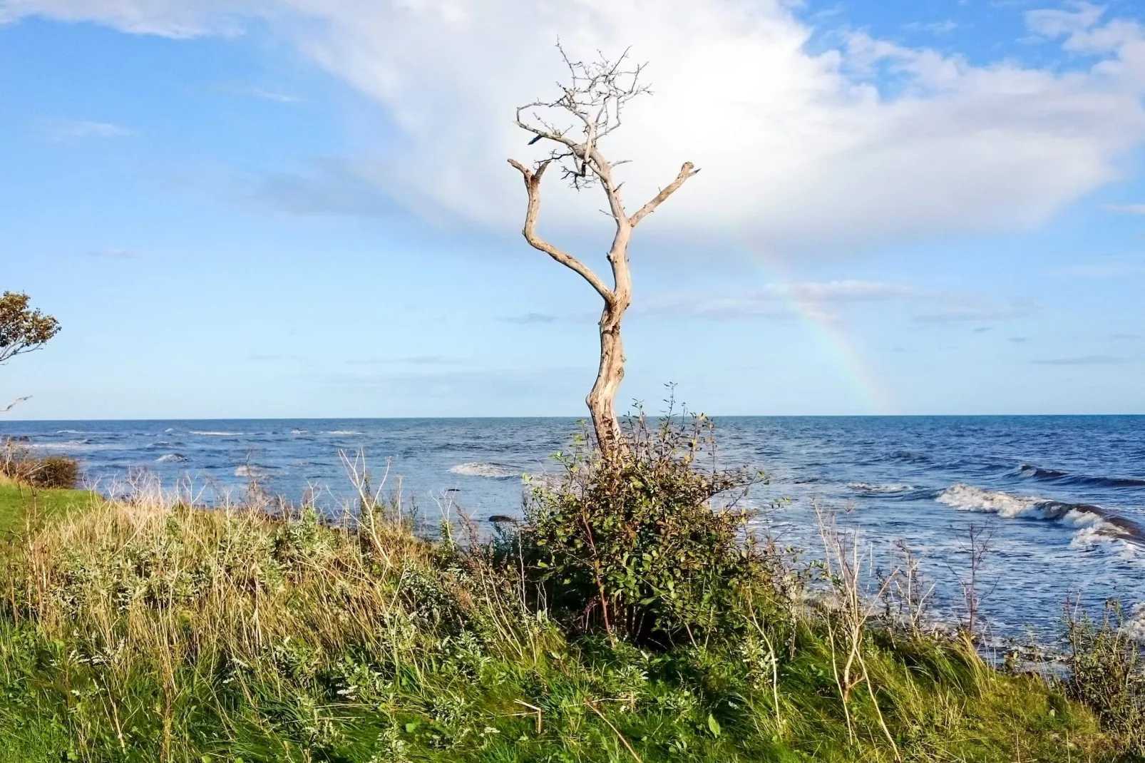 5 persoons vakantie huis in SMYGEHAMN - Waterzicht