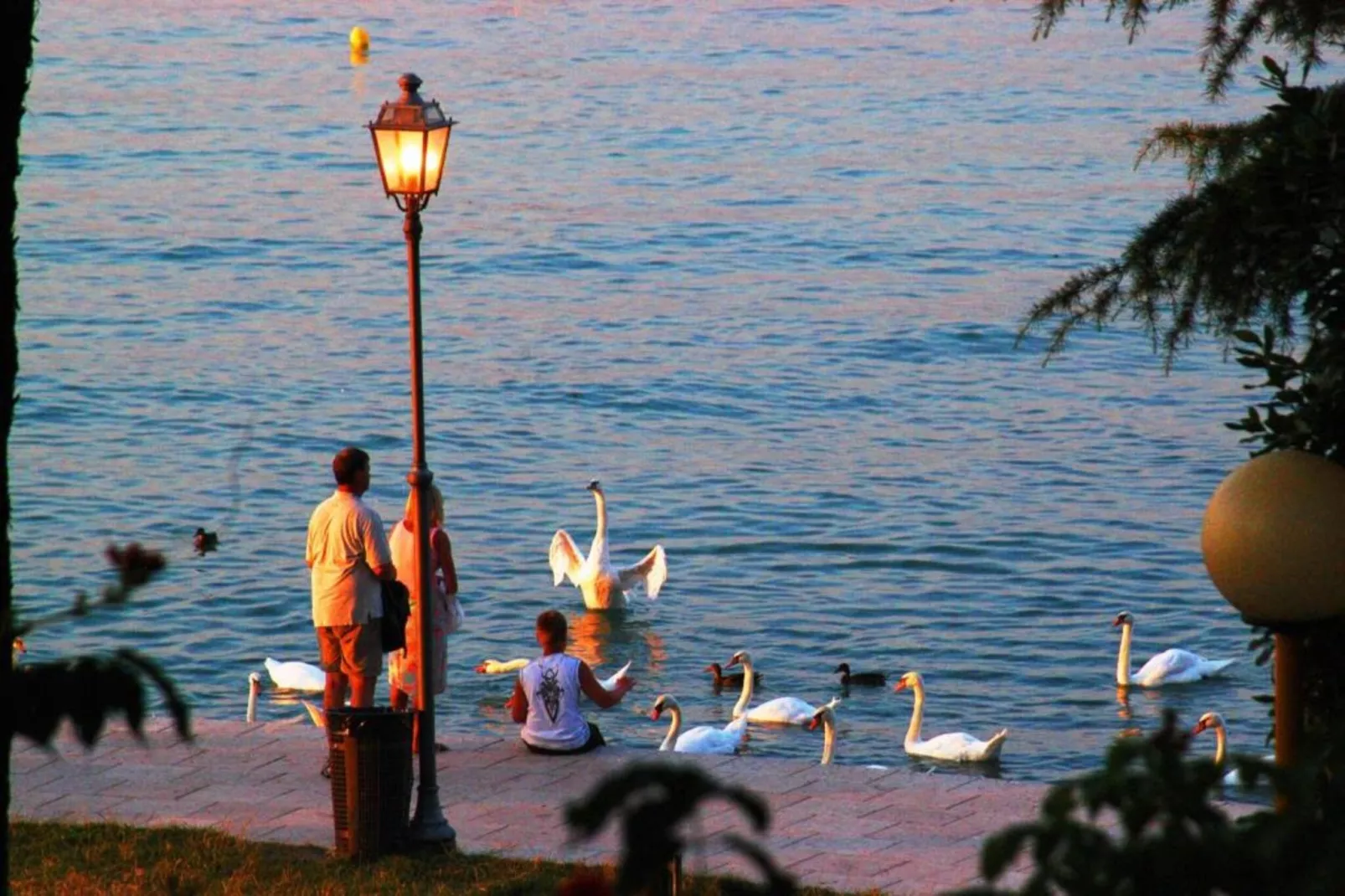 Garda Resort T6 PT Sup - Gebieden zomer 20km
