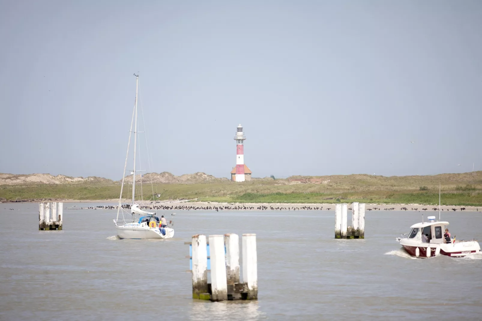 STELLA MARIS 201 - Gebieden zomer 20km