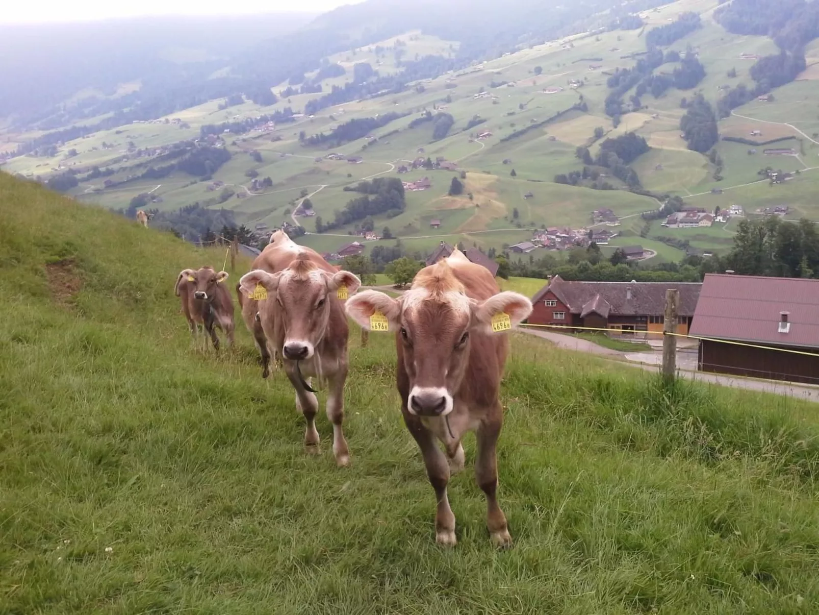 Hof Unterstein - Buiten