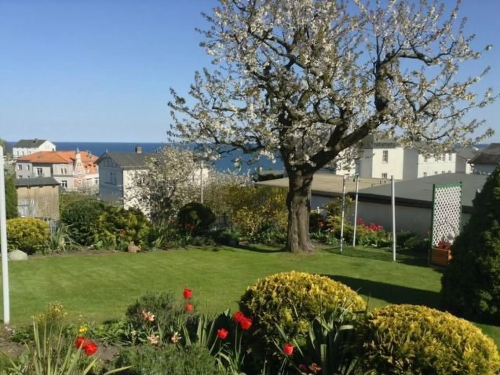 Strandläuferle - Buiten