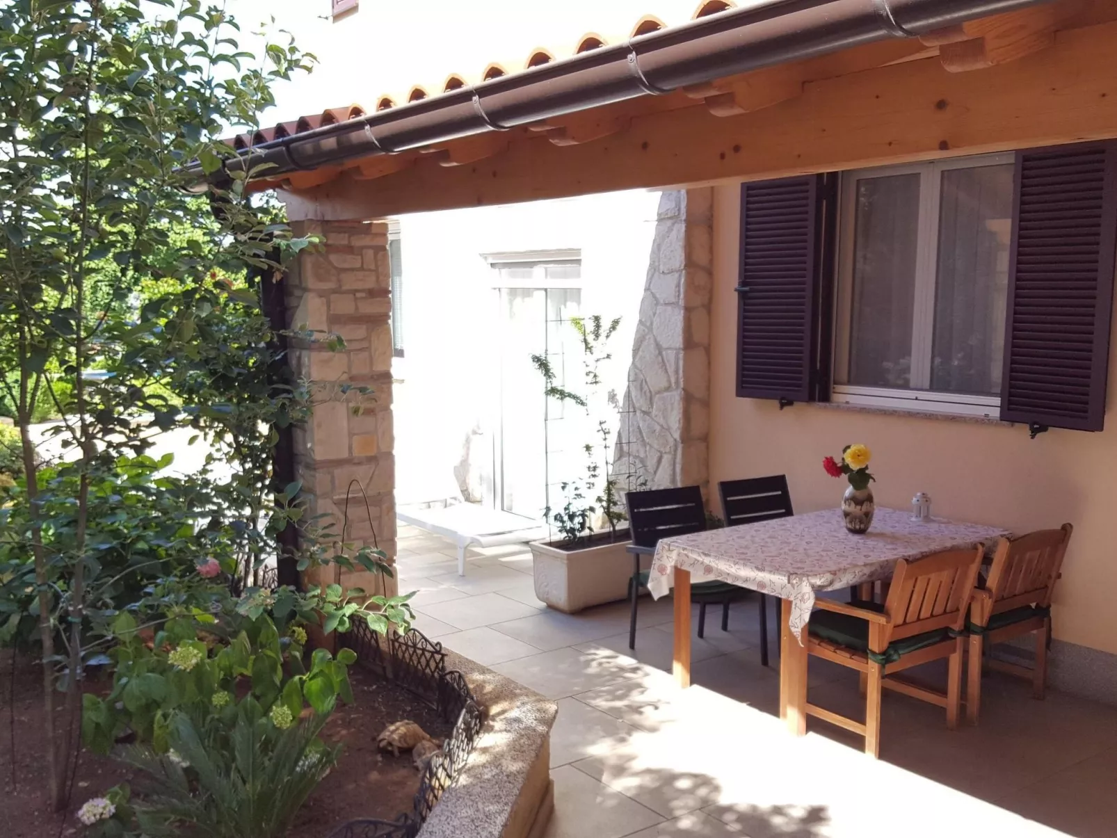 Ginkgo 1 - Image-tags.info