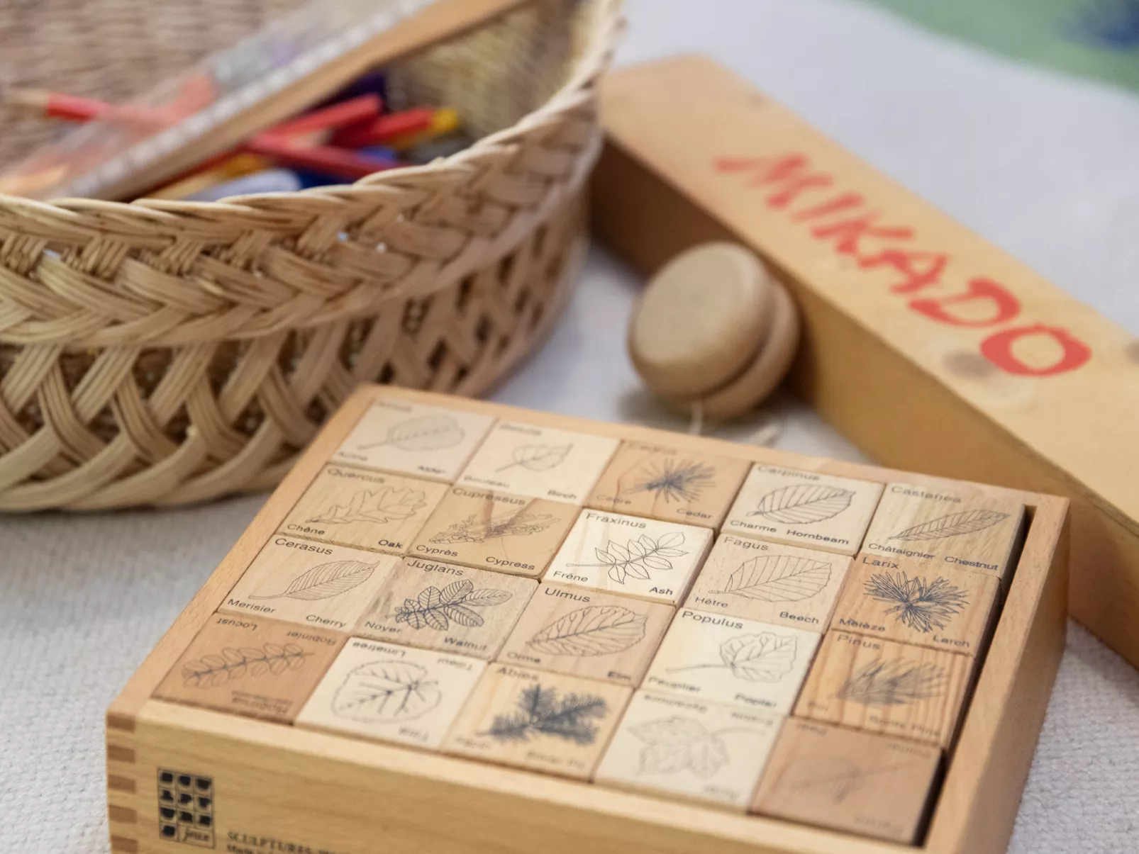 Veni, Vidi, Mansi - Binnen