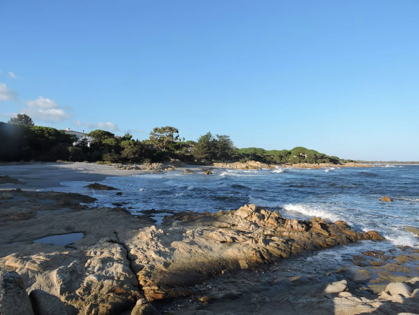 "Cosima" mit Blick auf das Wasser - Buiten