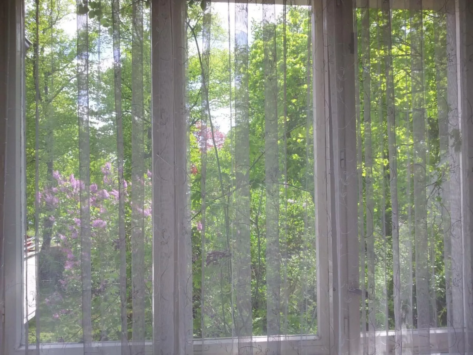 Kleine Villa West - Buiten