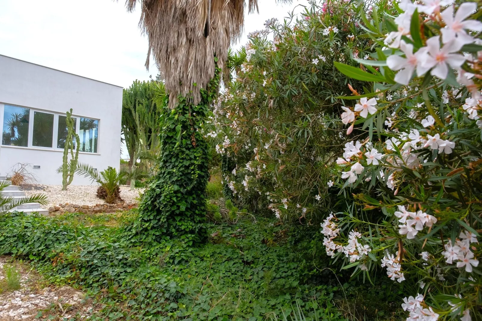 Villa Malvarosa - Tuinen zomer