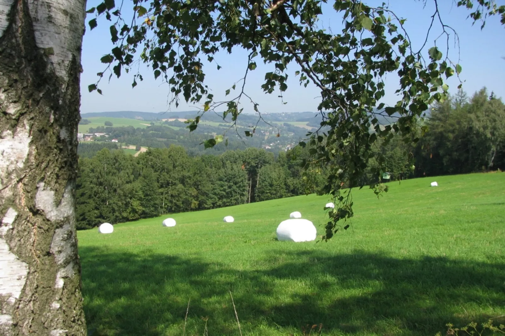 Chalet Nisou 2 - Gebieden zomer 5km