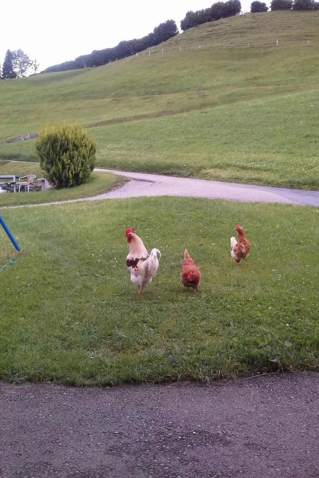 Hof Unterstein - Buiten