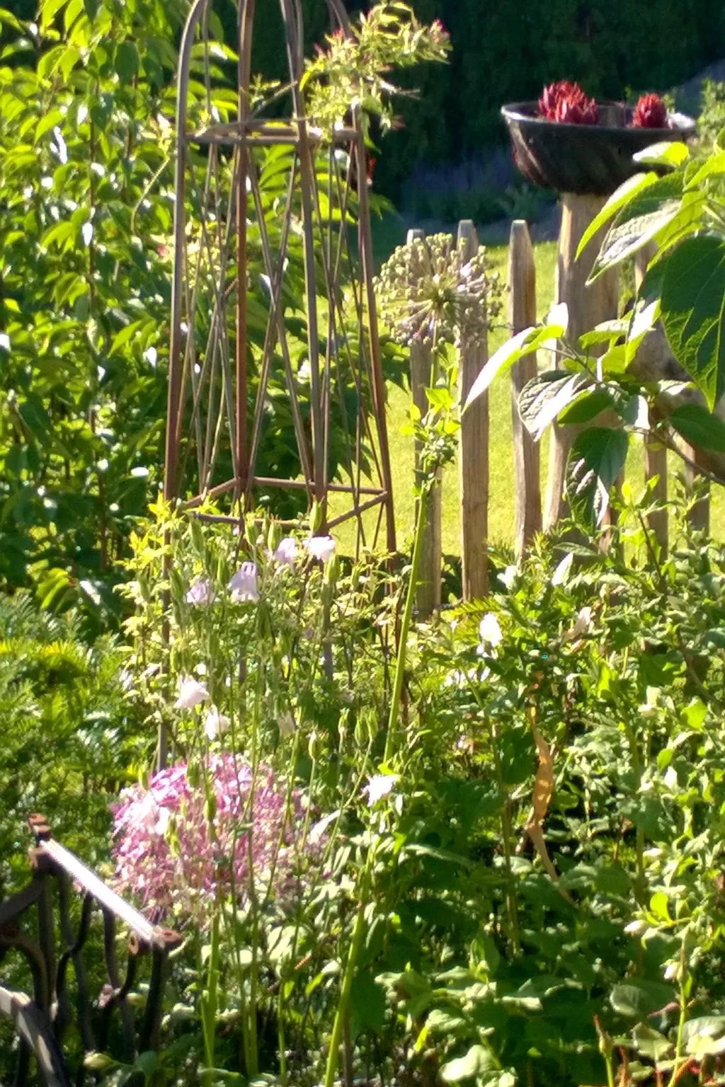 Villa Romantica - Buiten