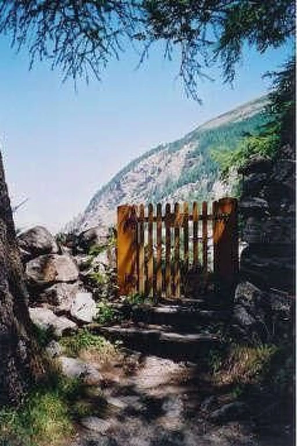 Chalet Piccolo - Buiten