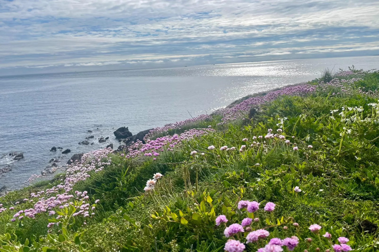 Maison de Vacances Le Conquet - Gebieden zomer 5km