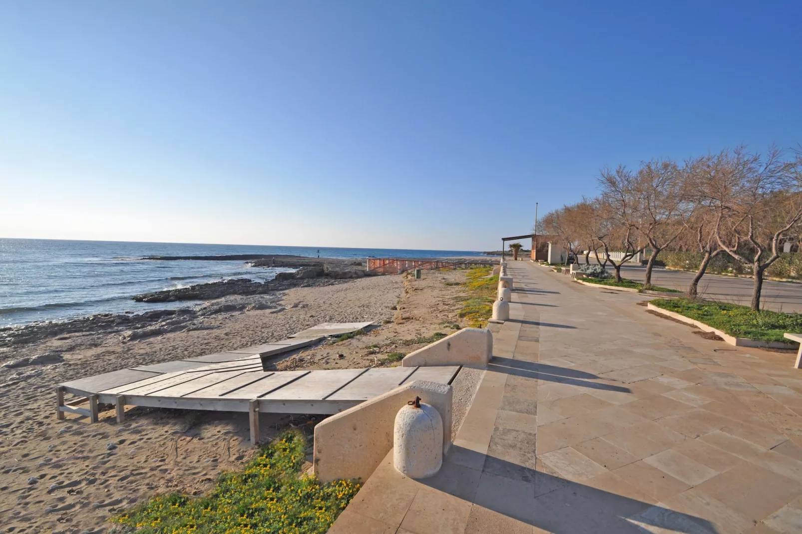 TS Quadri B - Gebieden zomer 1km