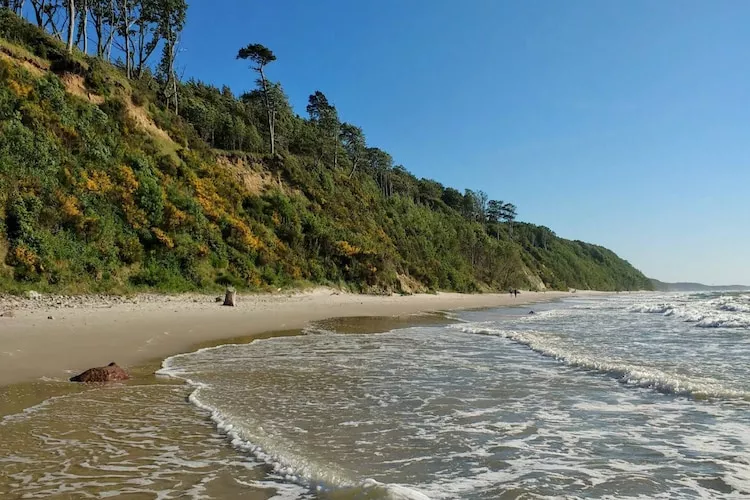 Dom wakacyjny w Dębinie dla max 7 osób - Gebieden zomer 5km