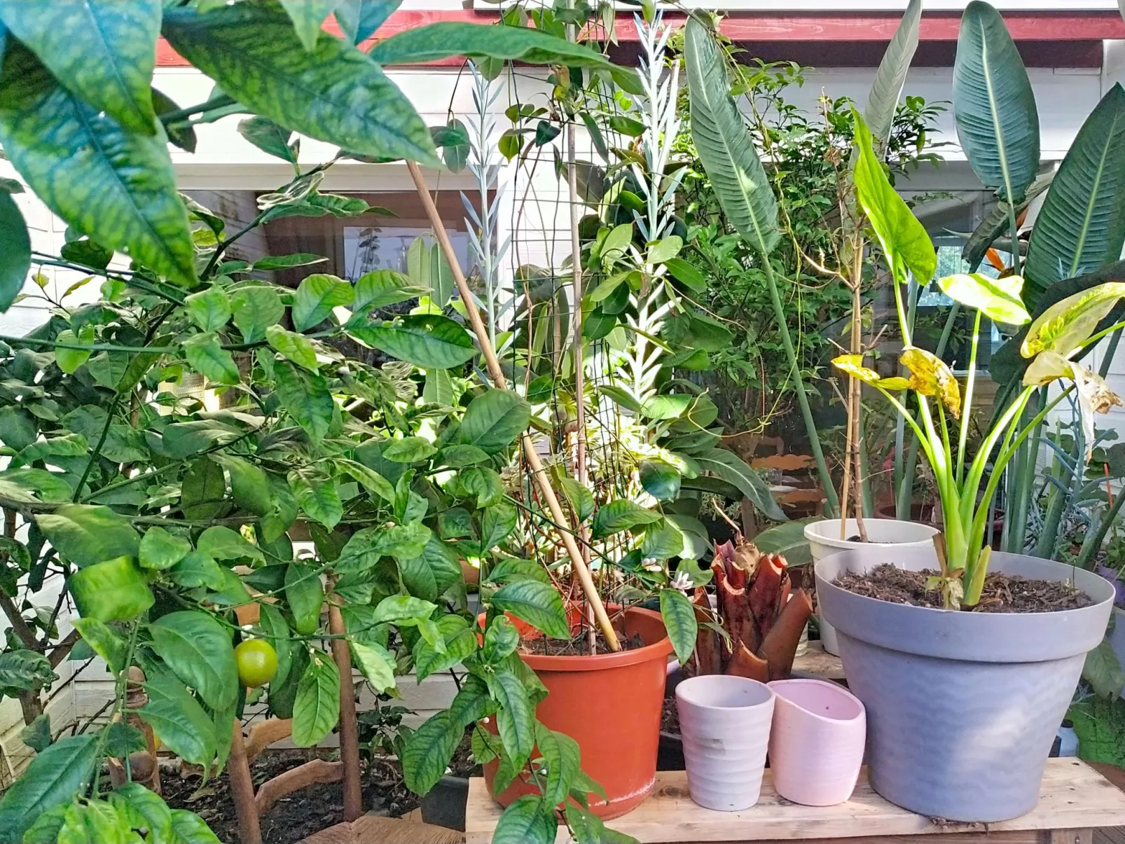 Le Nautilus - Binnen