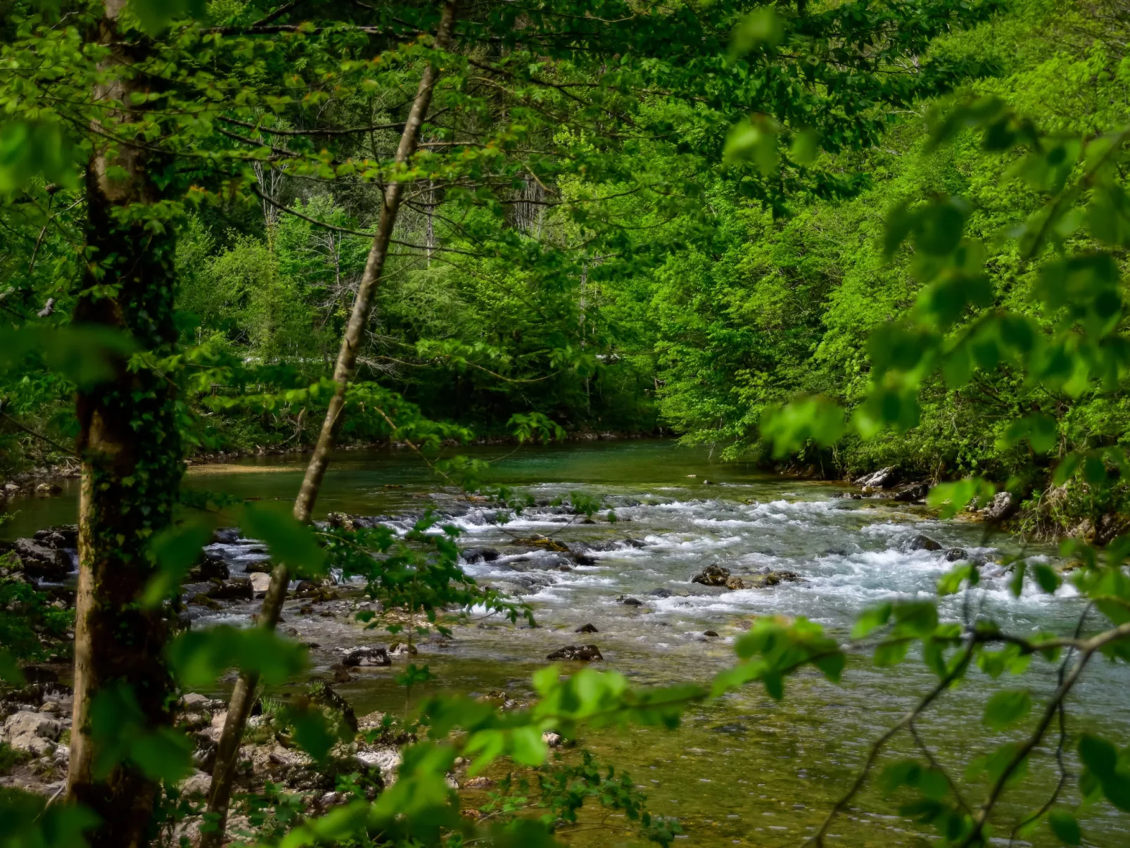 Makov Hrib - Omgeving