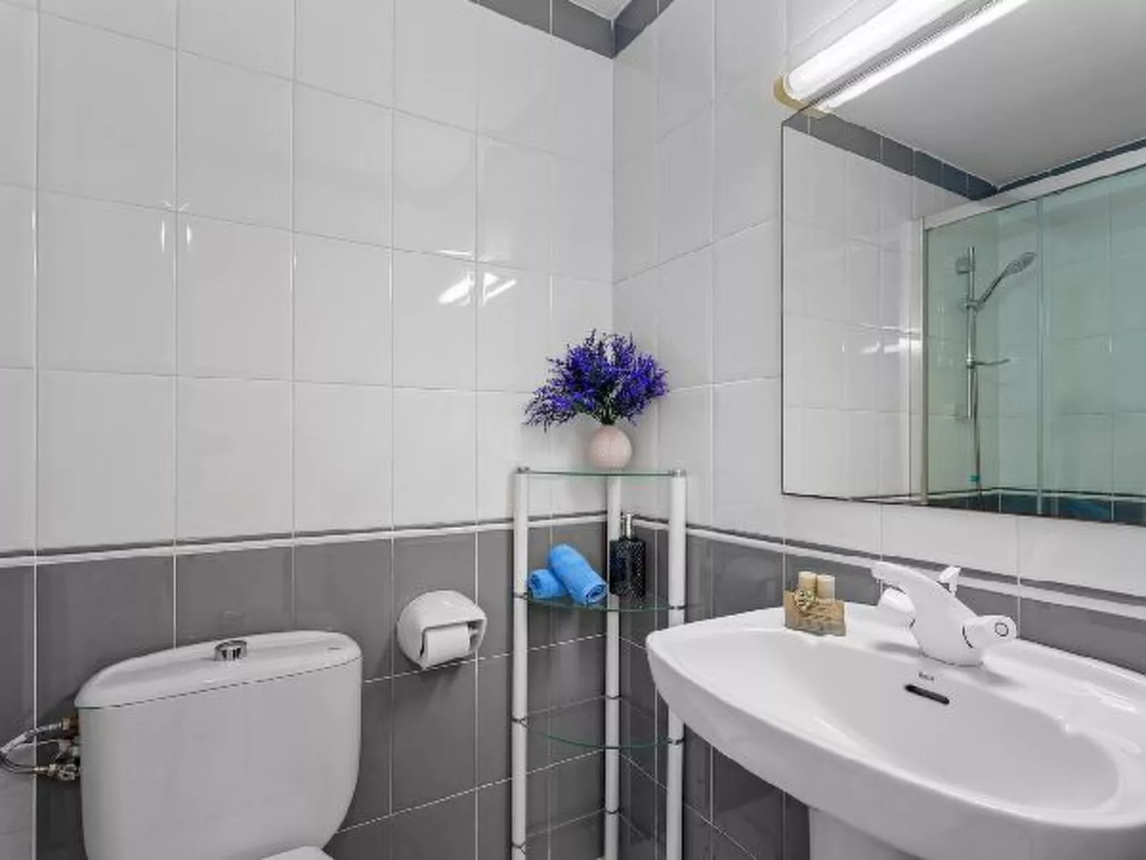 Apartment Aquarium - Plusholidays - Image-tags.info