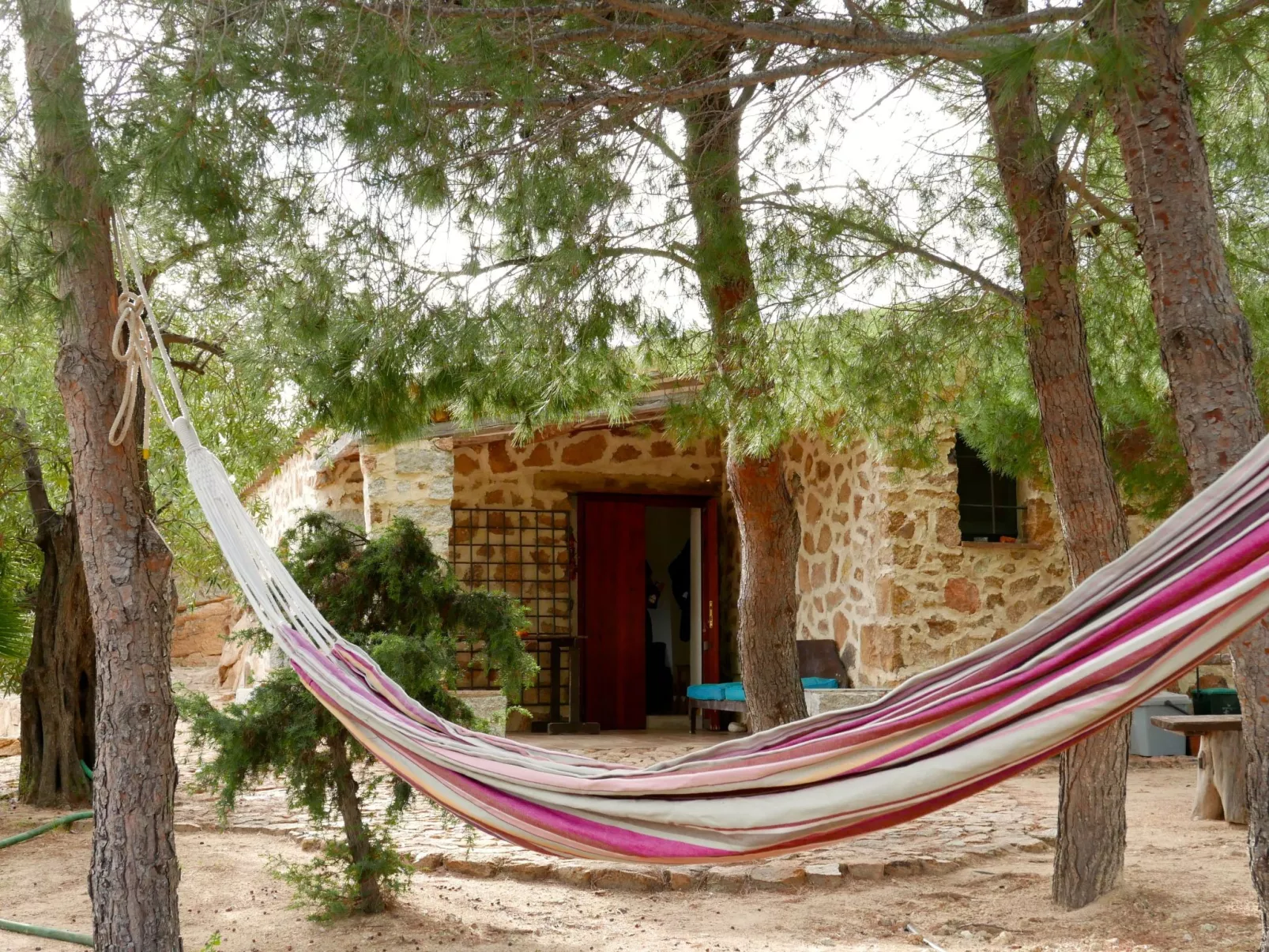 "Cosima" mit Blick auf das Wasser - Buiten