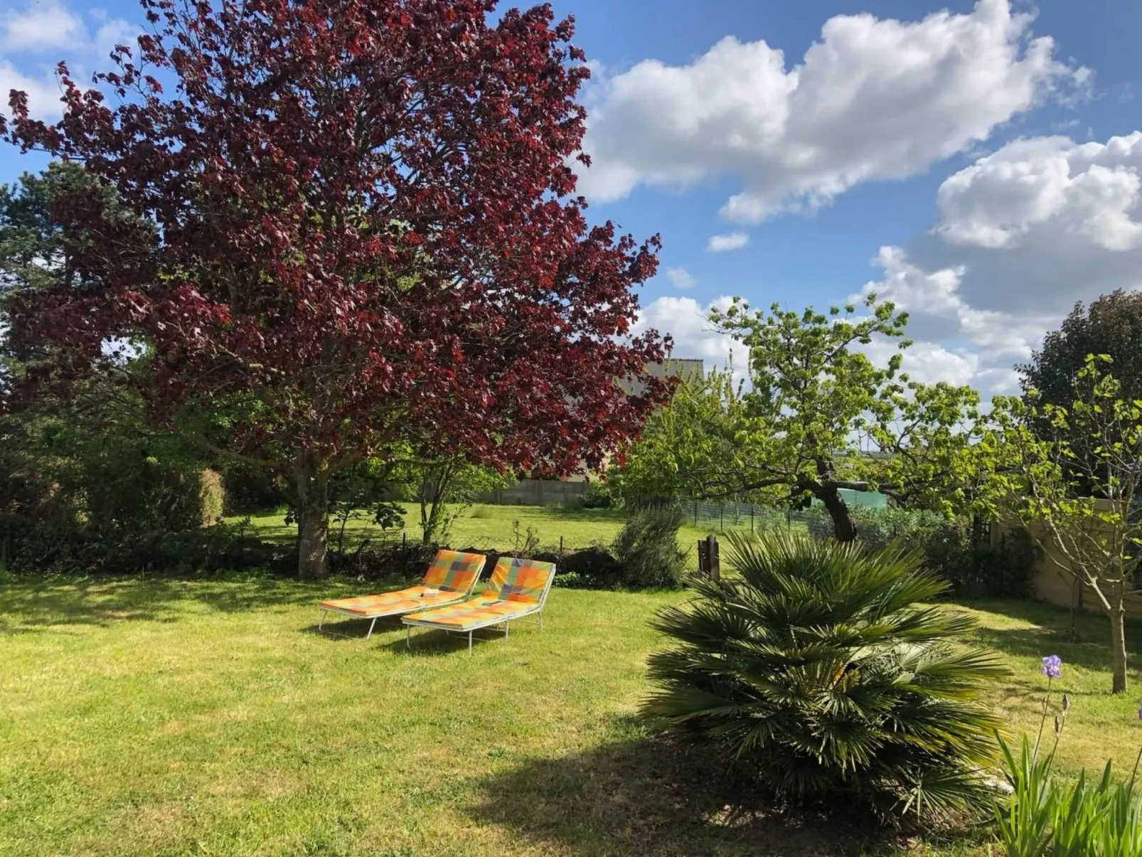 Haus mit grossem Garten in der Nähe des Cap Fréh - Image-tags.info