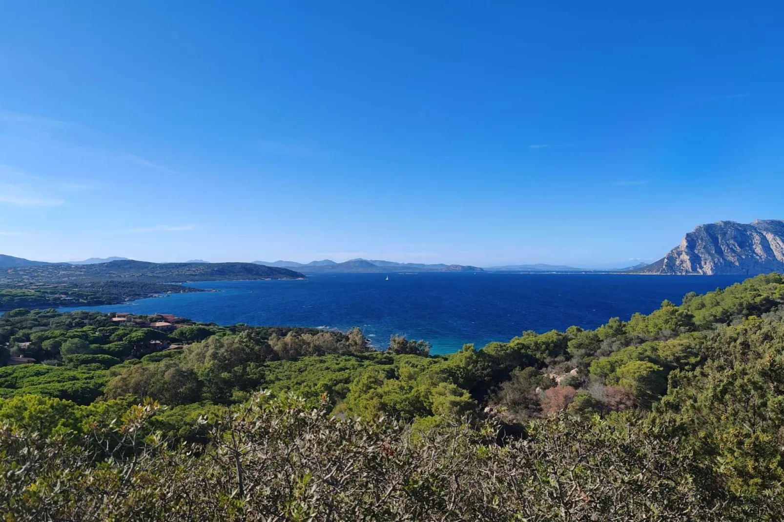 Il Mirto - Gebieden zomer 20km