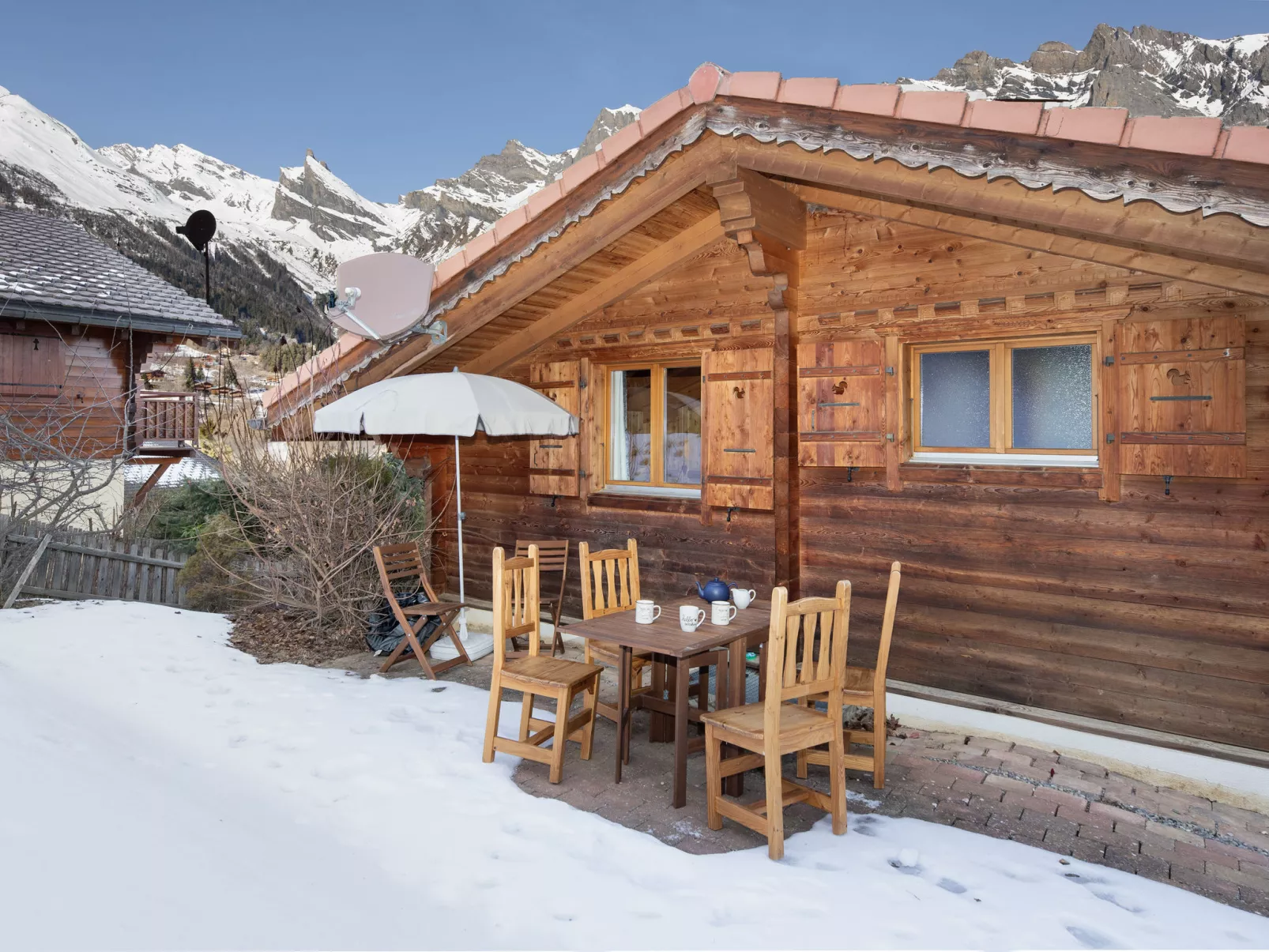 Ecureuil noir - Buiten