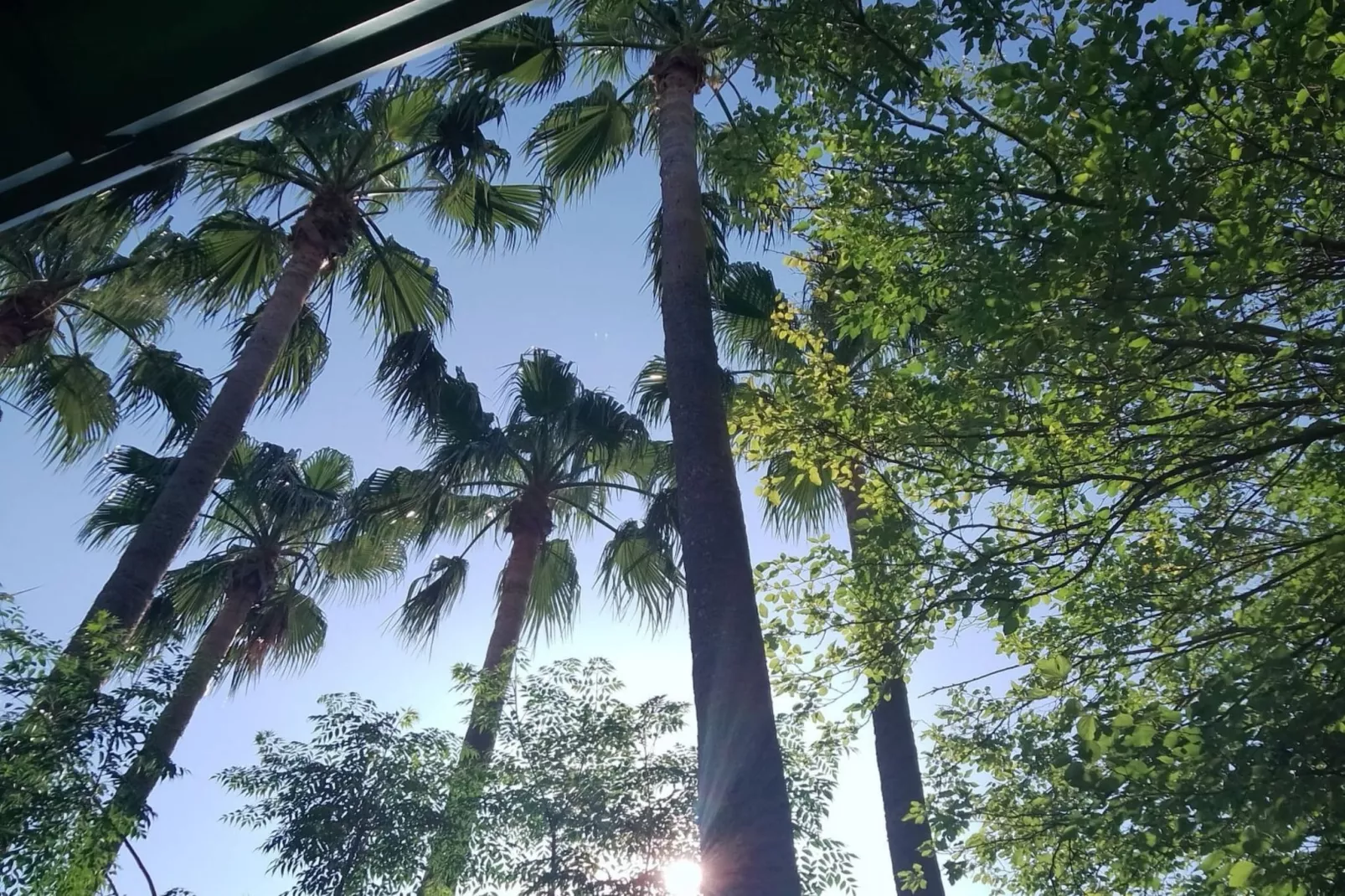 Twin Room 1 - Buitenlucht