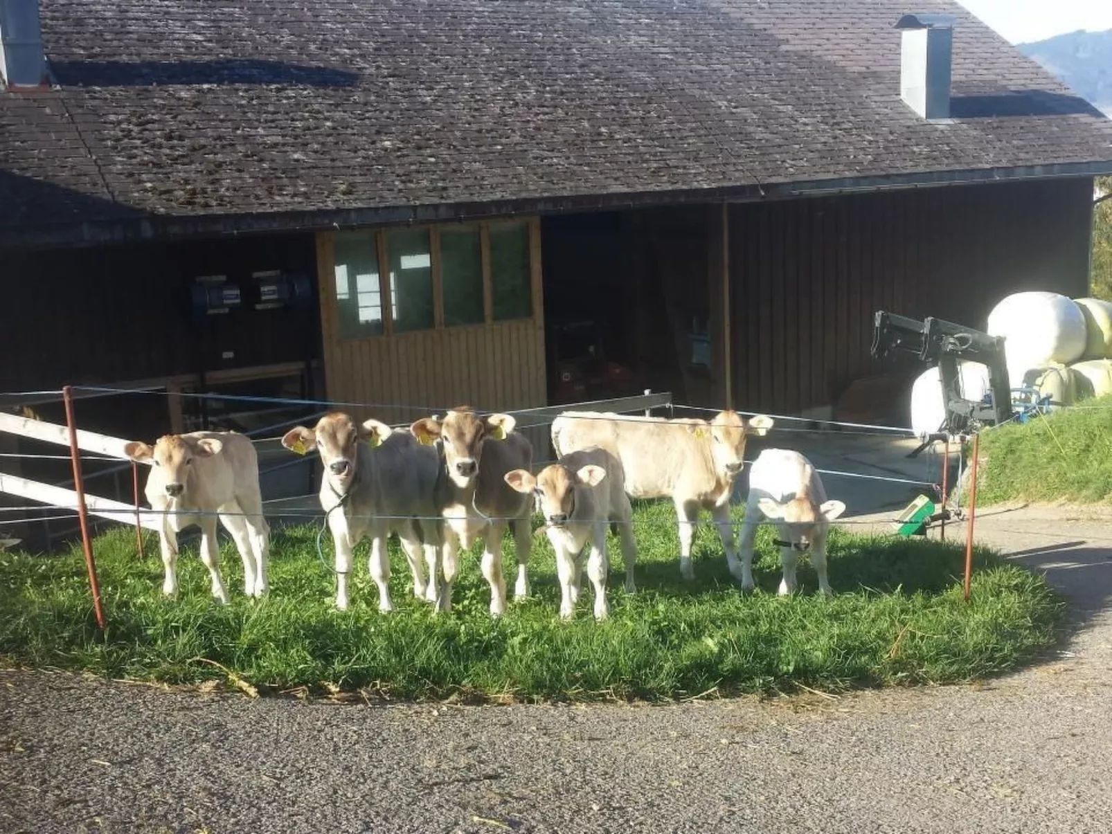 Hof Unterstein - Buiten